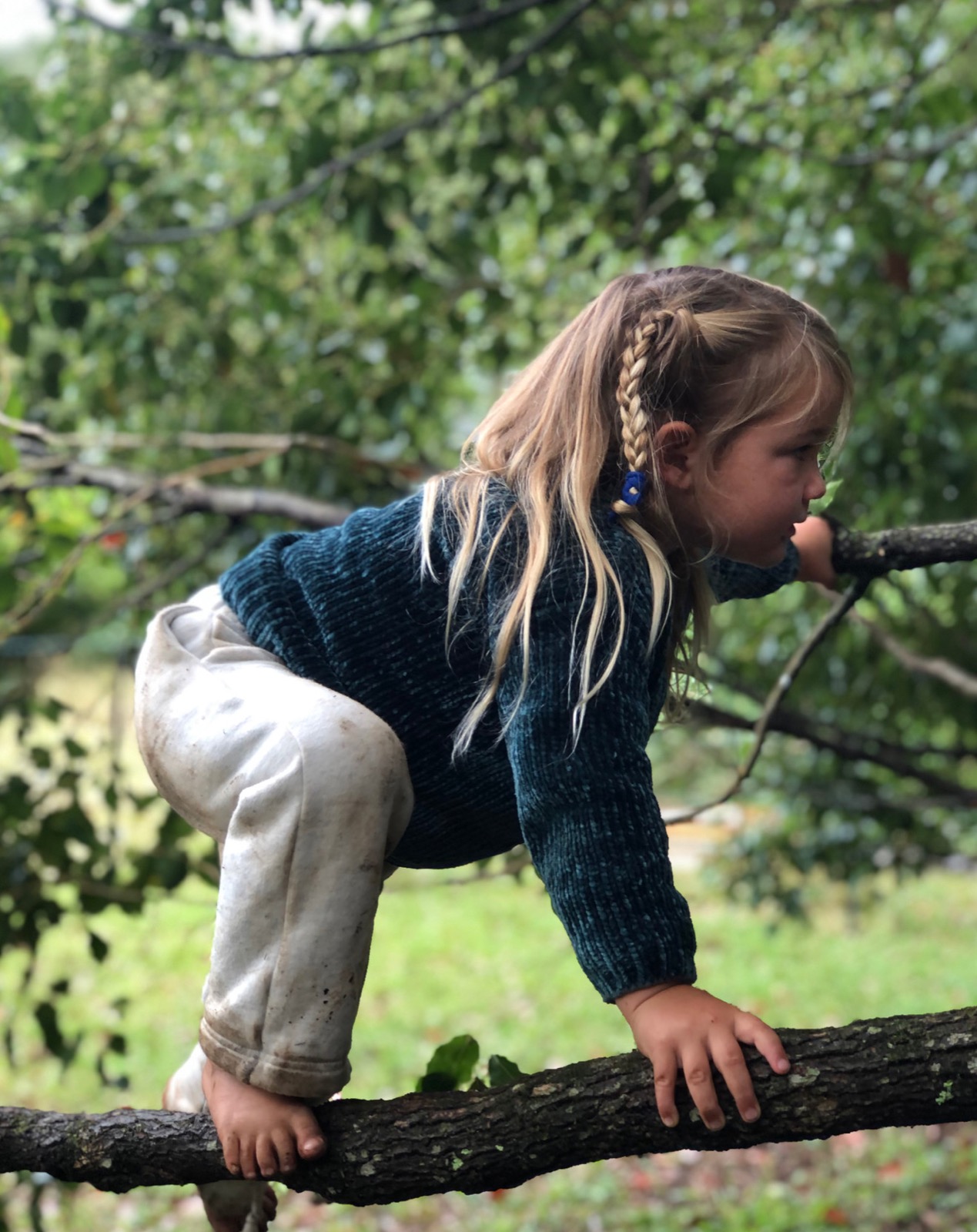 Provider image for Bush Blossom Explorers: outdoor & nature