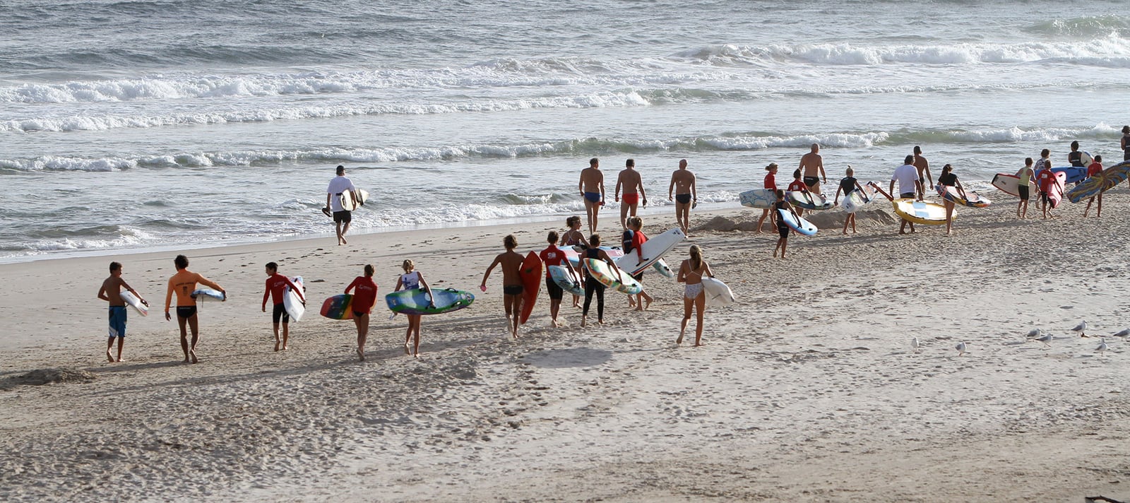 Provider image for Byron Bay Surf Life Saving Club — Nippers: surf & water