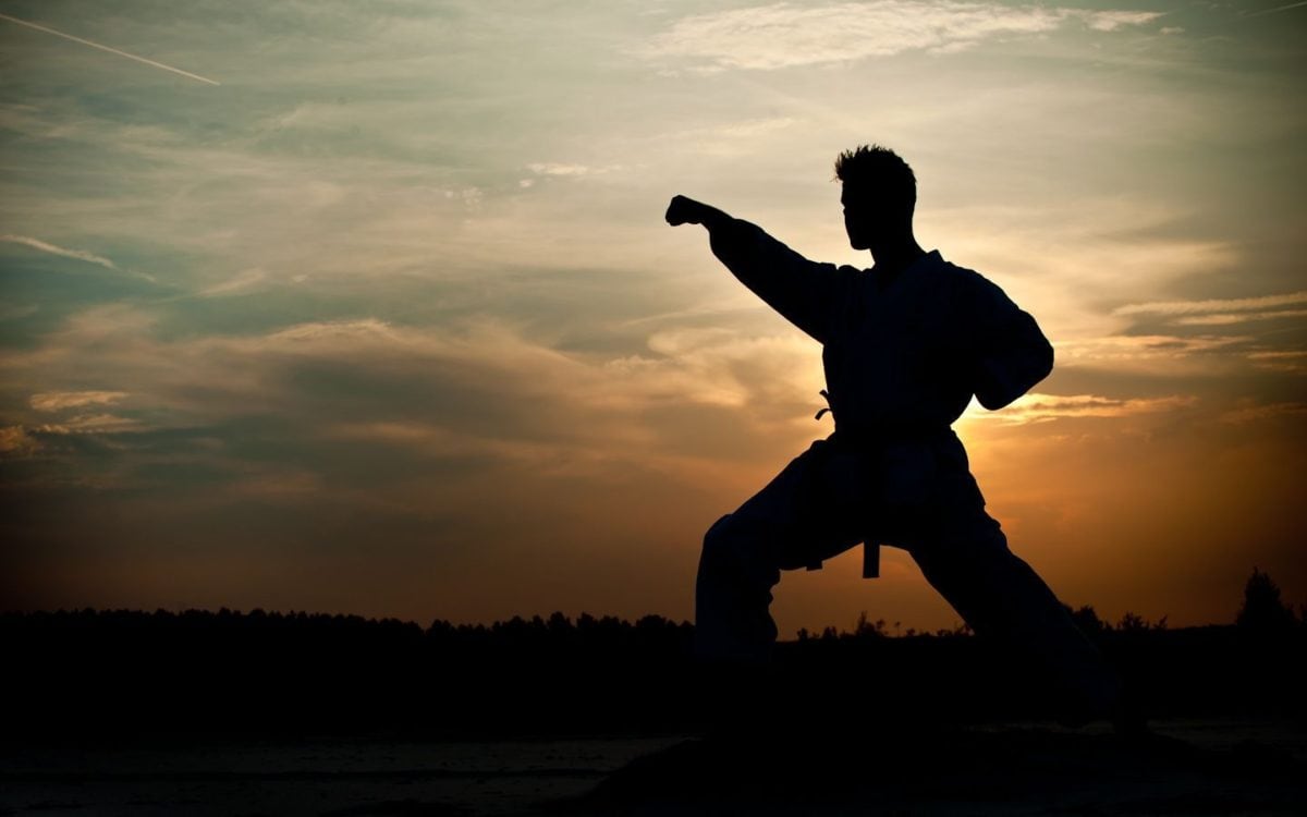Provider image for Northern Rivers Shukokai Karate: martial arts