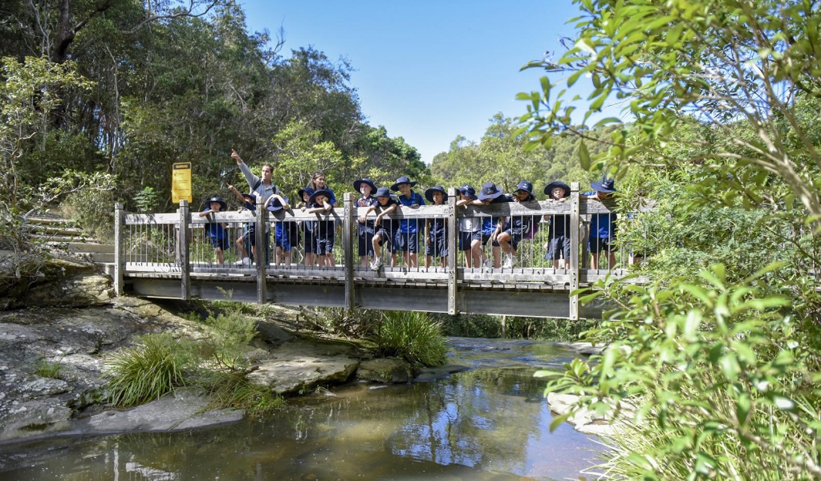 Provider image for NSW National Parks — North Coast Education: outdoor & nature