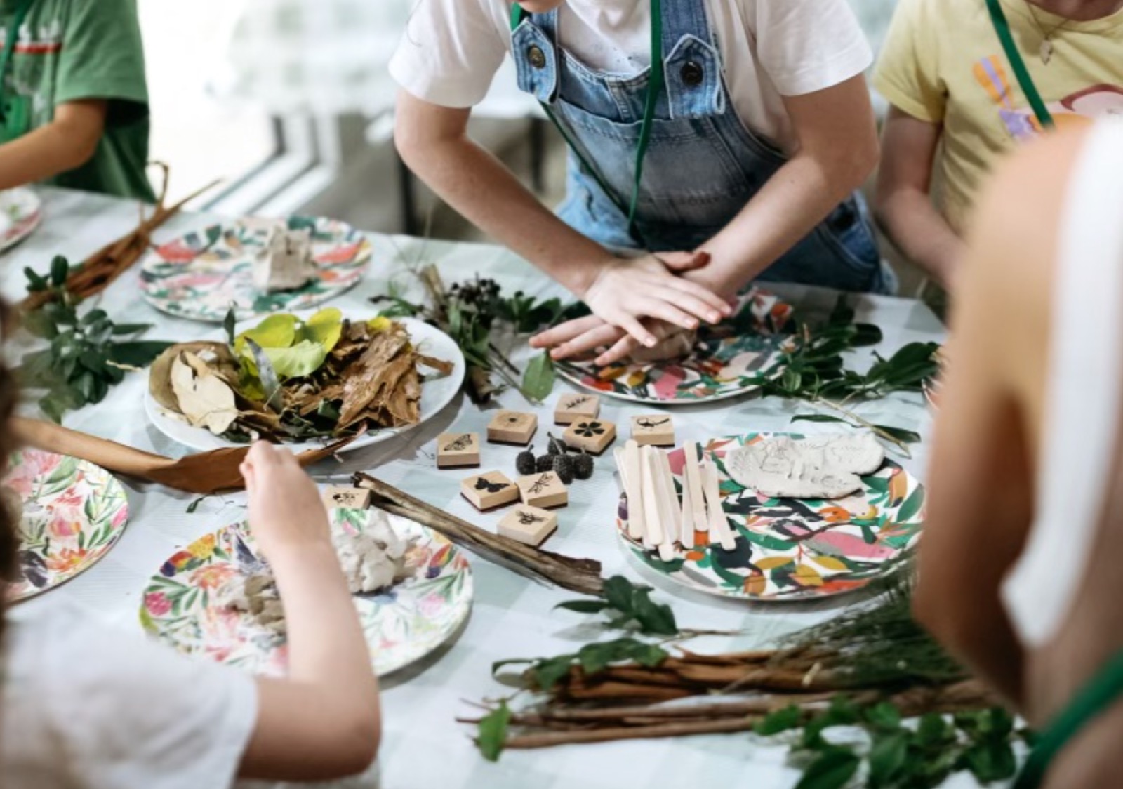Provider image for Byron Bay Wildlife Sanctuary — Puggles Kids Club: wildlife & nature